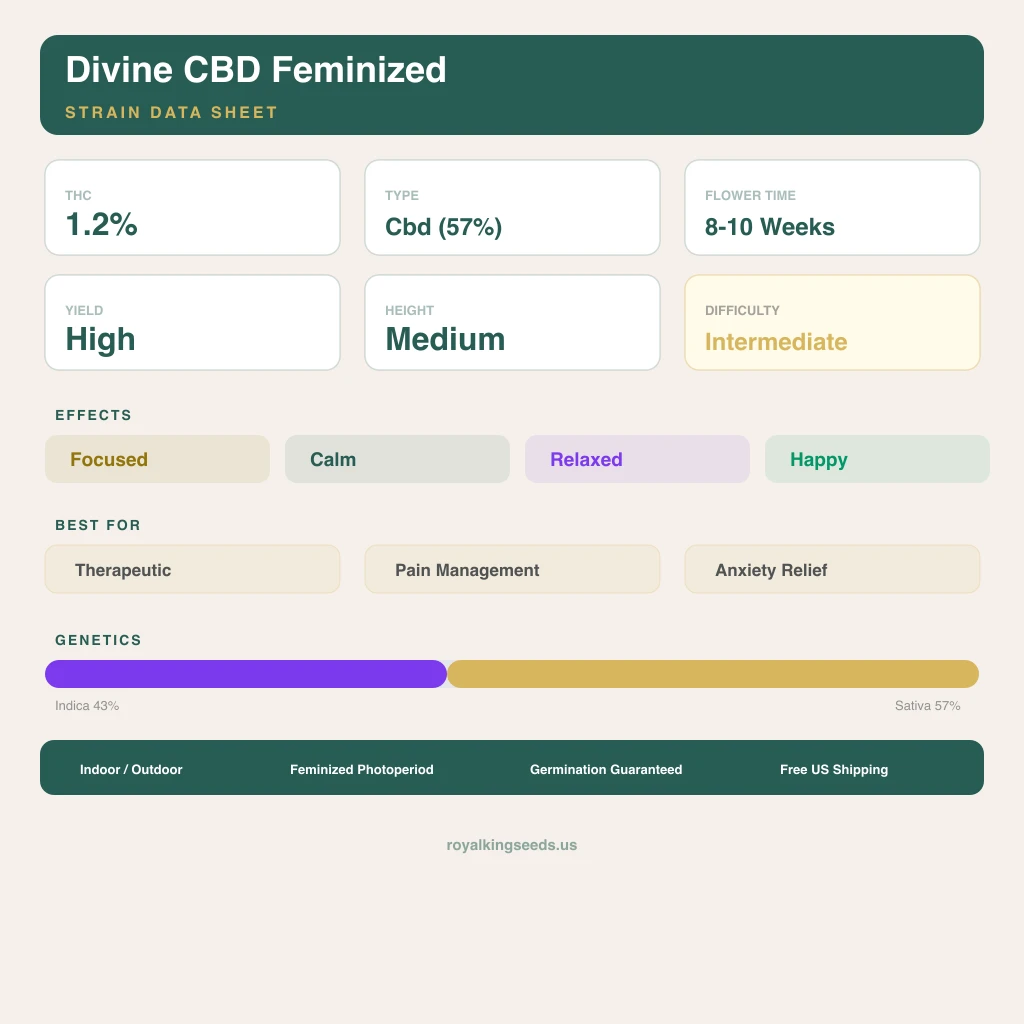 Divine CBD 43% Indica / 57% Sativa — Blüte mit sichtbaren Trichomen