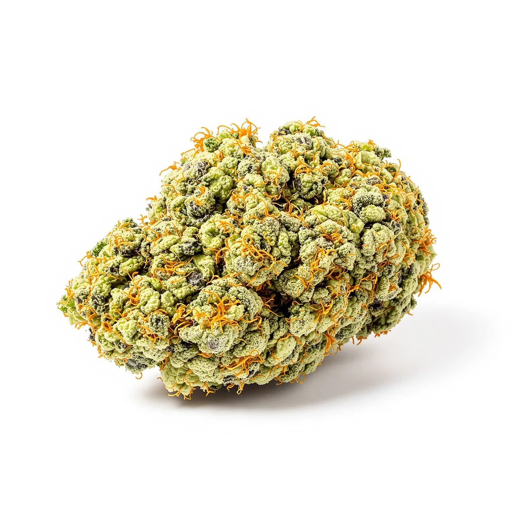 Dizzy OG 16% Indica / 84% Sativa — Blüte mit sichtbaren Trichomen