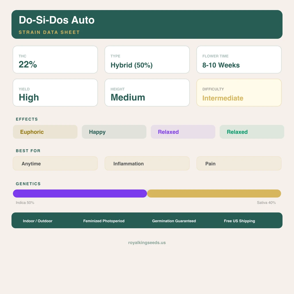 Do-Si-Dos 50% Indica / 40% Sativa — Blüte mit sichtbaren Trichomen