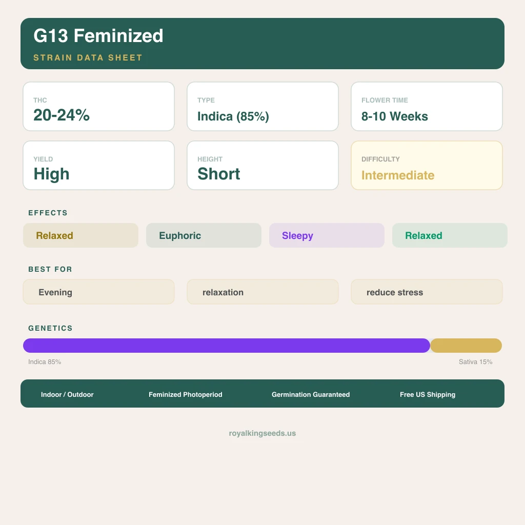 G13 85% Indica / 15% Sativa — Blüte mit sichtbaren Trichomen