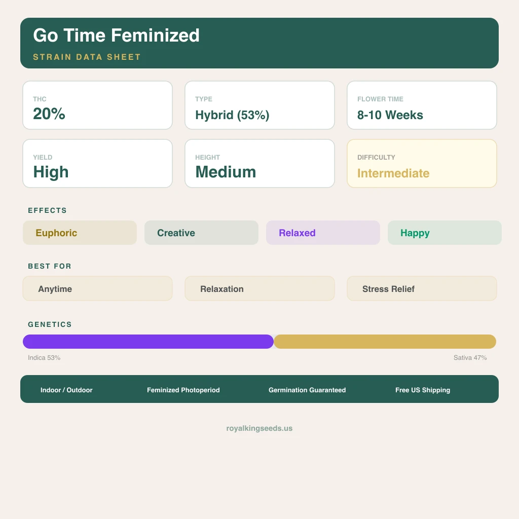 Go Time 53% Indica / 47% Sativa — Blüte mit sichtbaren Trichomen