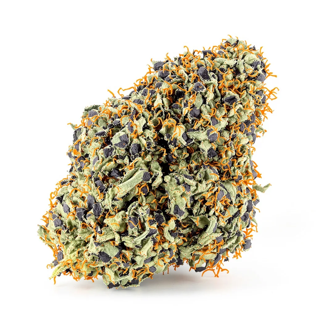 Goo 74% Indica / 26% Sativa — Blüte mit sichtbaren Trichomen