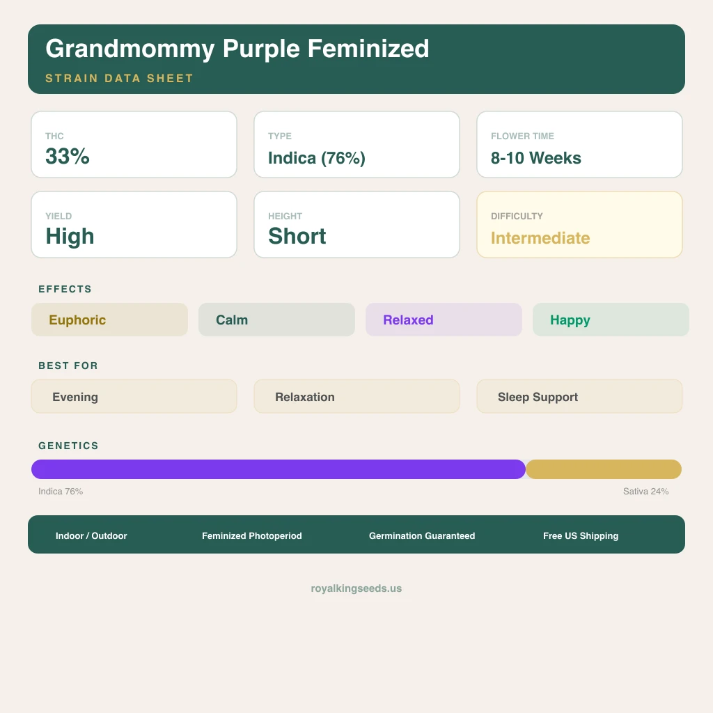 Grandmommy Purple 76% Indica / 24% Sativa — Blüte mit sichtbaren Trichomen