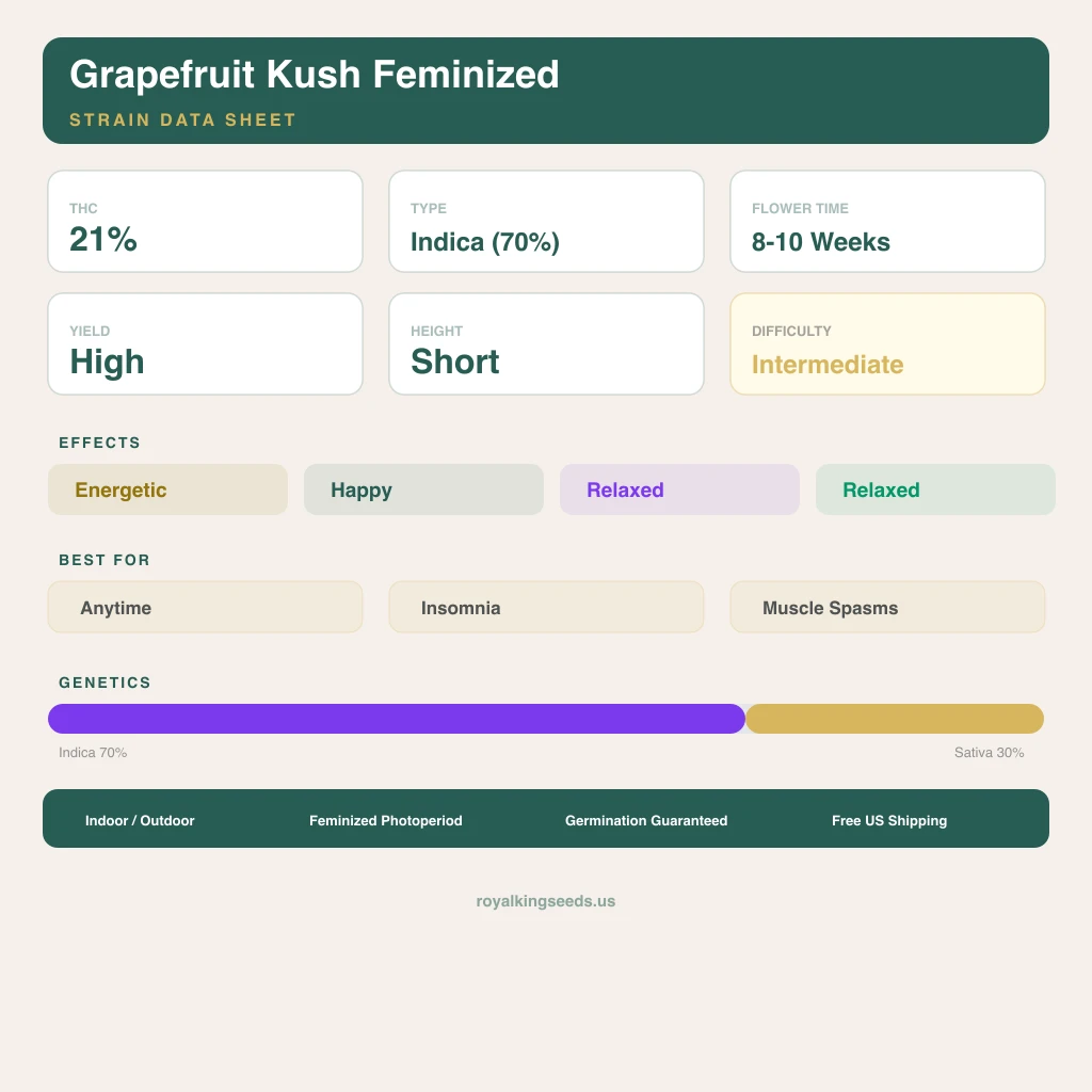 Grapefruit Kush 70% Indica / 30% Sativa — Blüte mit sichtbaren Trichomen