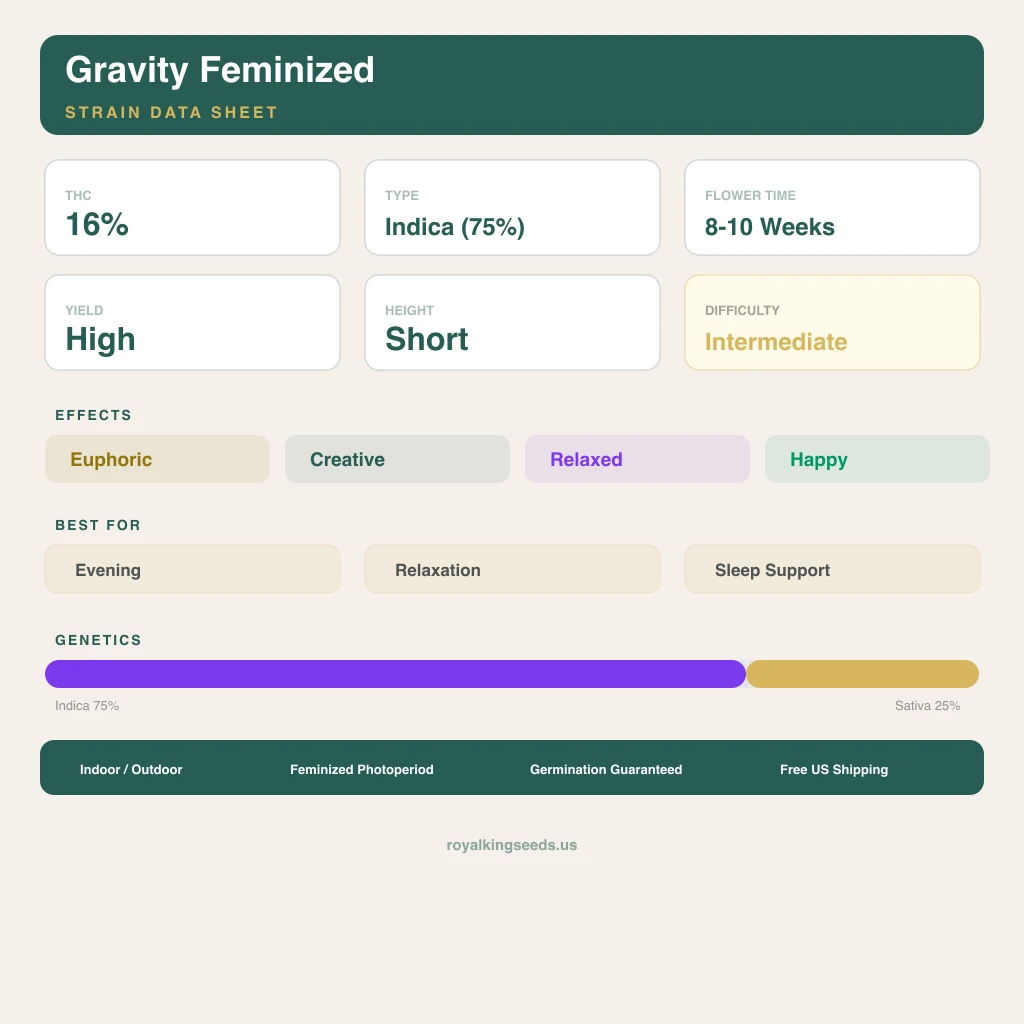 Gravity 75% Indica / 25% Sativa — Blüte mit sichtbaren Trichomen