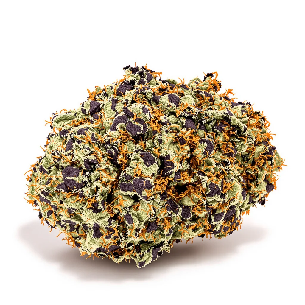 Gravity 75% Indica / 25% Sativa — Blüte mit sichtbaren Trichomen