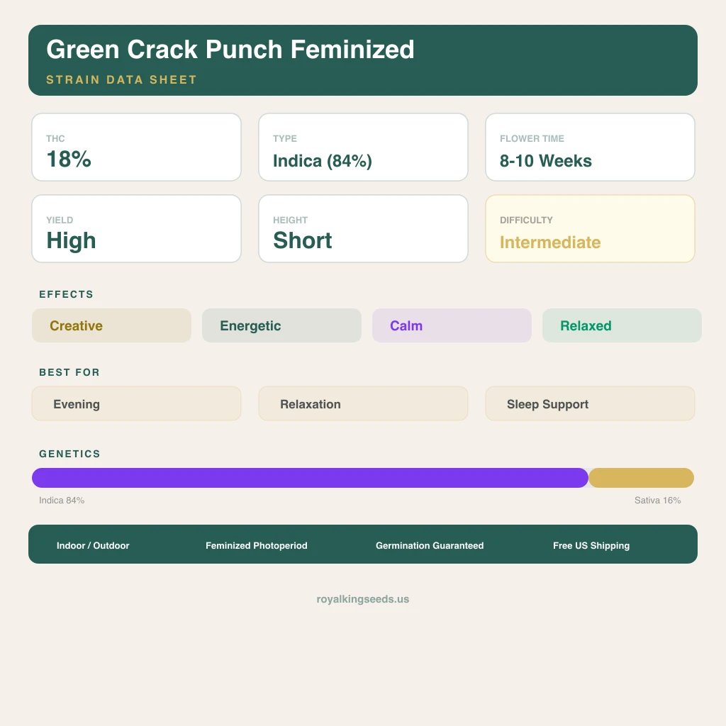 Green Crack Punch 84% Indica / 16% Sativa — Blüte mit sichtbaren Trichomen
