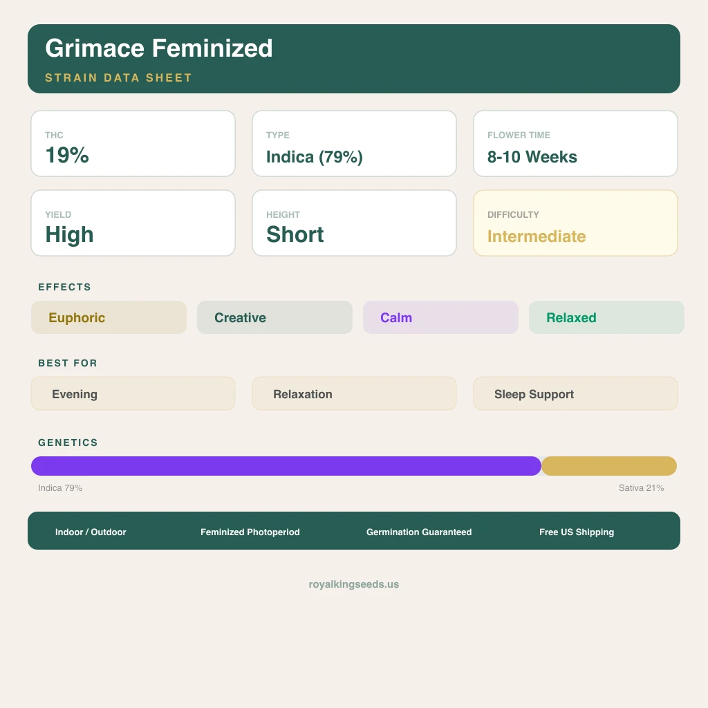 Grimace 79% Indica / 21% Sativa — Blüte mit sichtbaren Trichomen