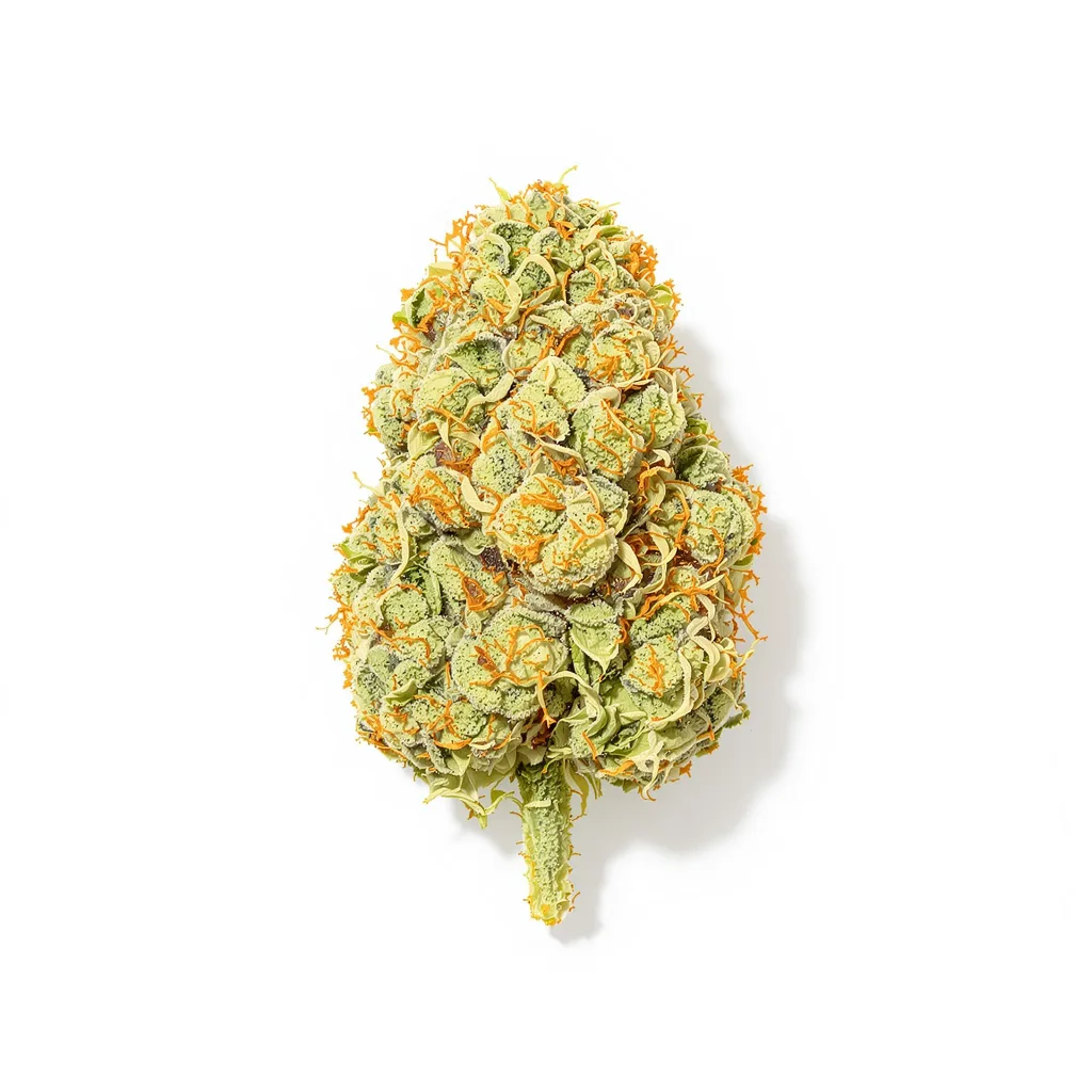 Harle-Tsu CBD 47% Indica / 53% Sativa — Blüte mit sichtbaren Trichomen