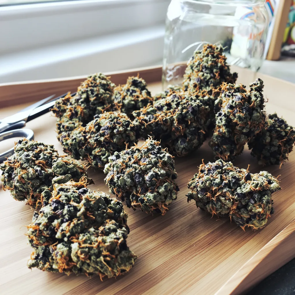 Hashberry 70% Indica / 30% Sativa — Blüte mit sichtbaren Trichomen