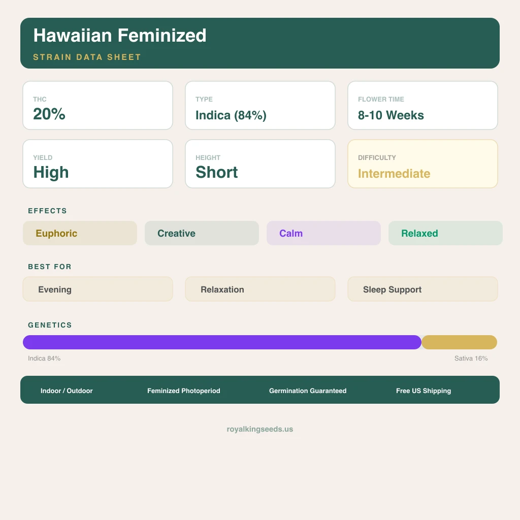 Hawaiian 84% Indica / 16% Sativa — Blüte mit sichtbaren Trichomen