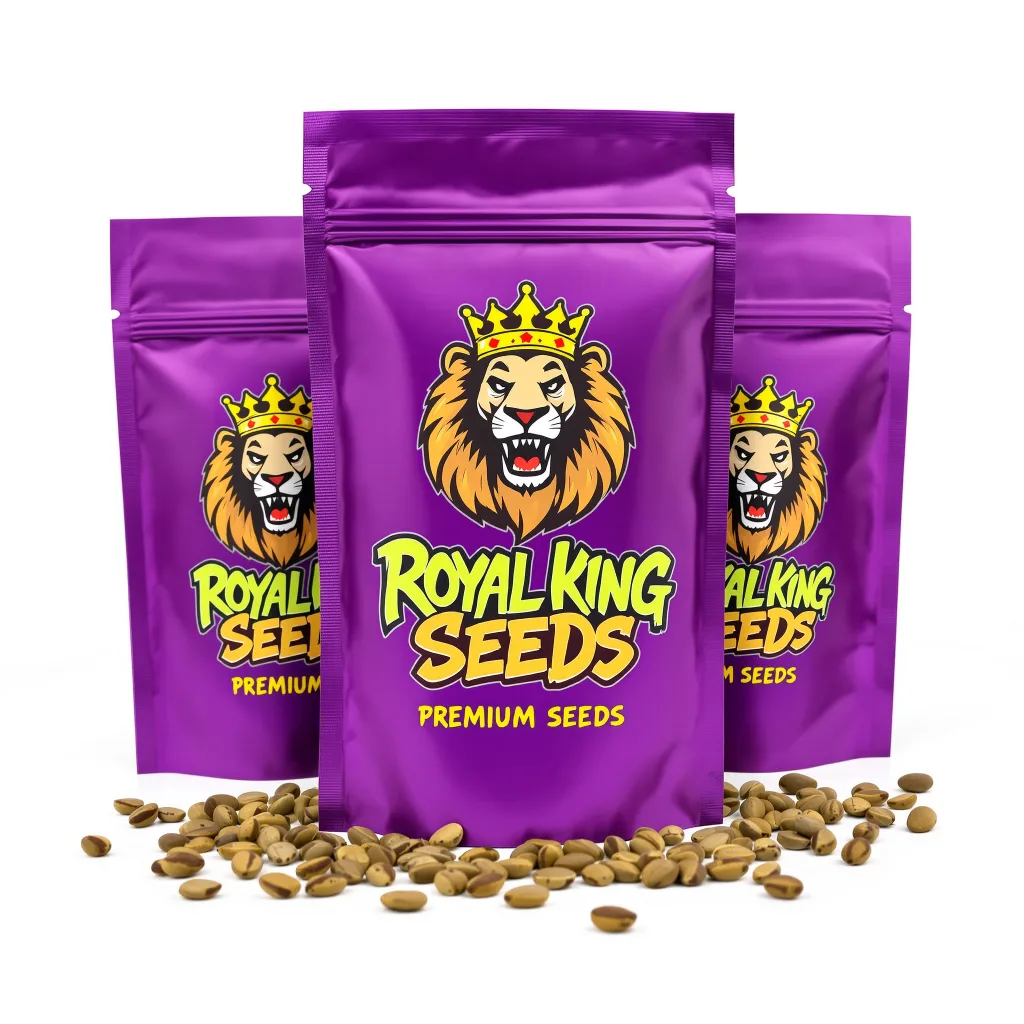 High Resin Strains Mixpack 68% Indica / 32% Sativa — Blüte mit sichtbaren Trichomen