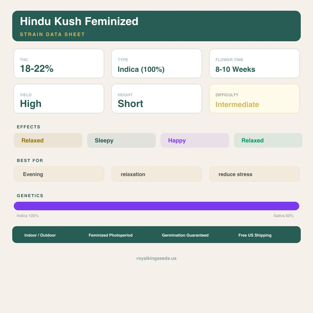 Hindu Kush 100% Indica / 50% Sativa — Blüte mit sichtbaren Trichomen