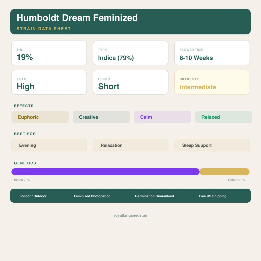 Humboldt Dream 79% Indica / 21% Sativa — Blüte mit sichtbaren Trichomen