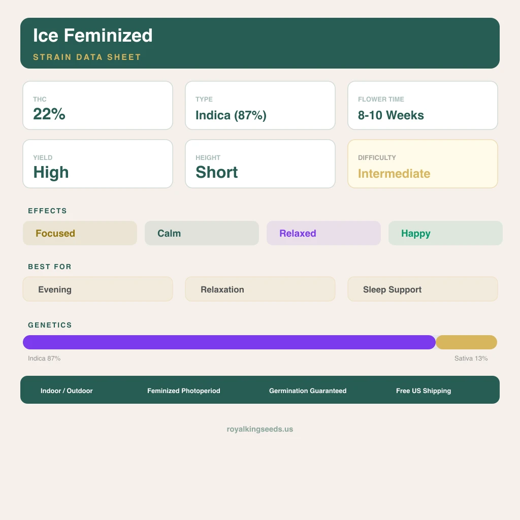 Ice 87% Indica / 13% Sativa — Blüte mit sichtbaren Trichomen