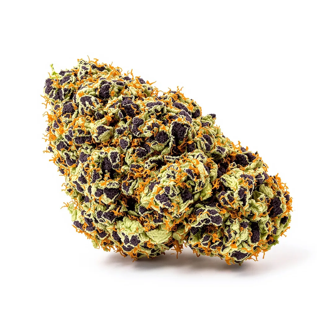 Illuminati OG 80% Indica / 20% Sativa — Blüte mit sichtbaren Trichomen