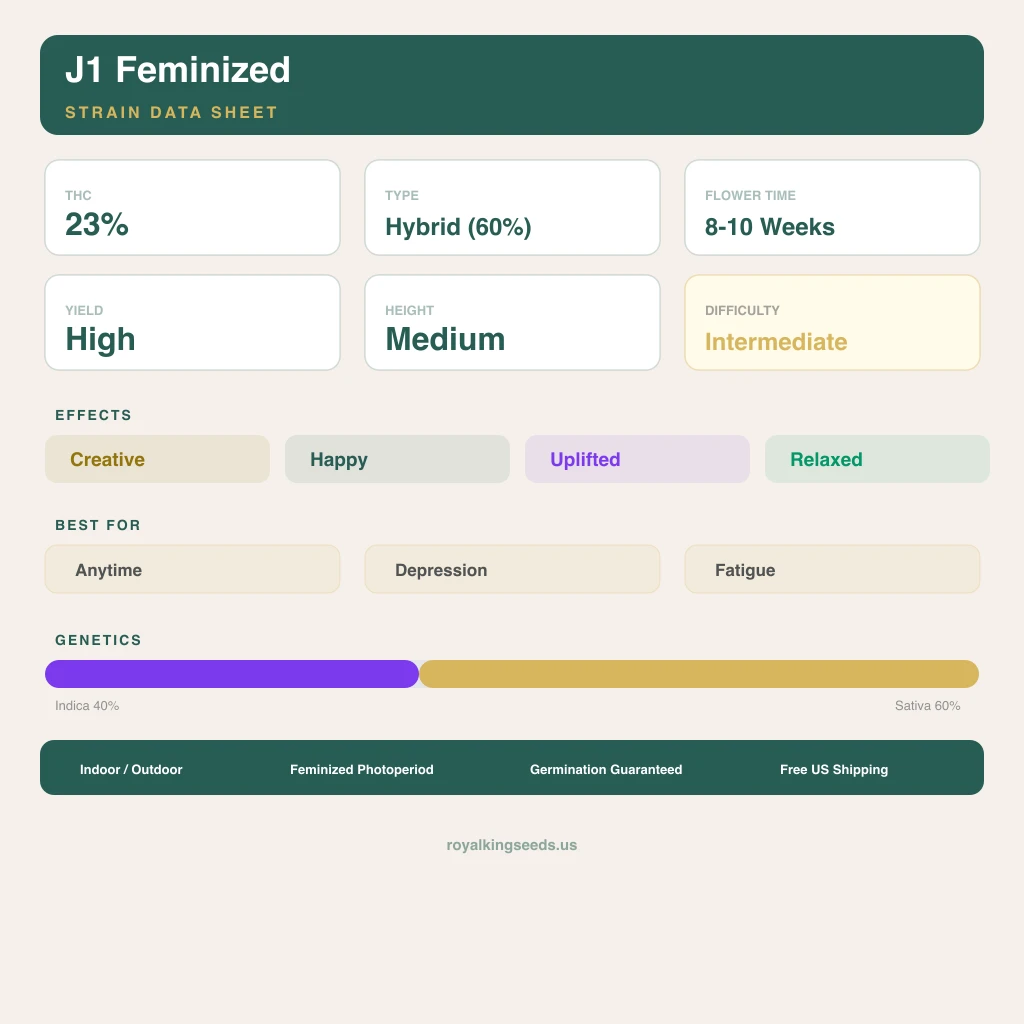 J1 40% Indica / 60% Sativa — Blüte mit sichtbaren Trichomen