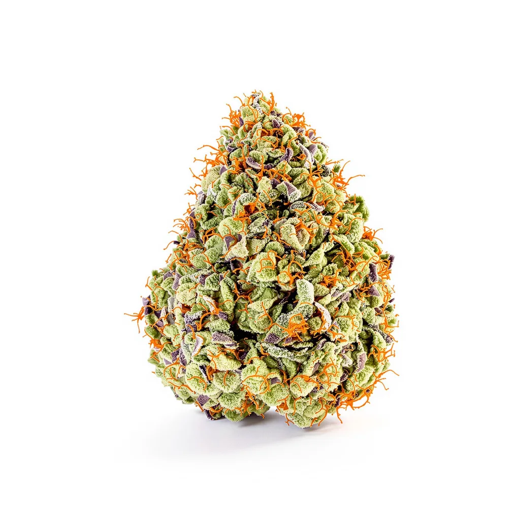 J1 40% Indica / 60% Sativa — Blüte mit sichtbaren Trichomen