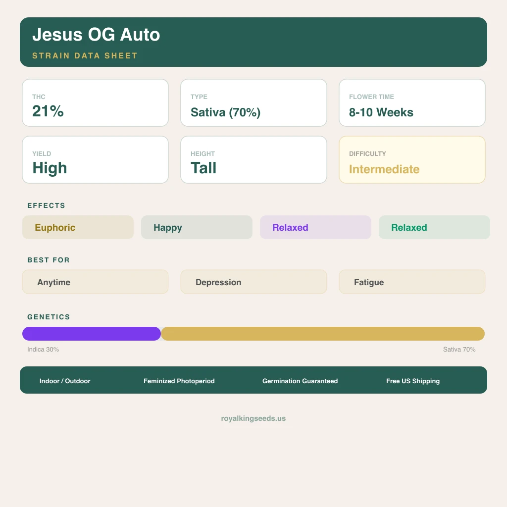 Jesus OG 30% Indica / 70% Sativa — Blüte mit sichtbaren Trichomen