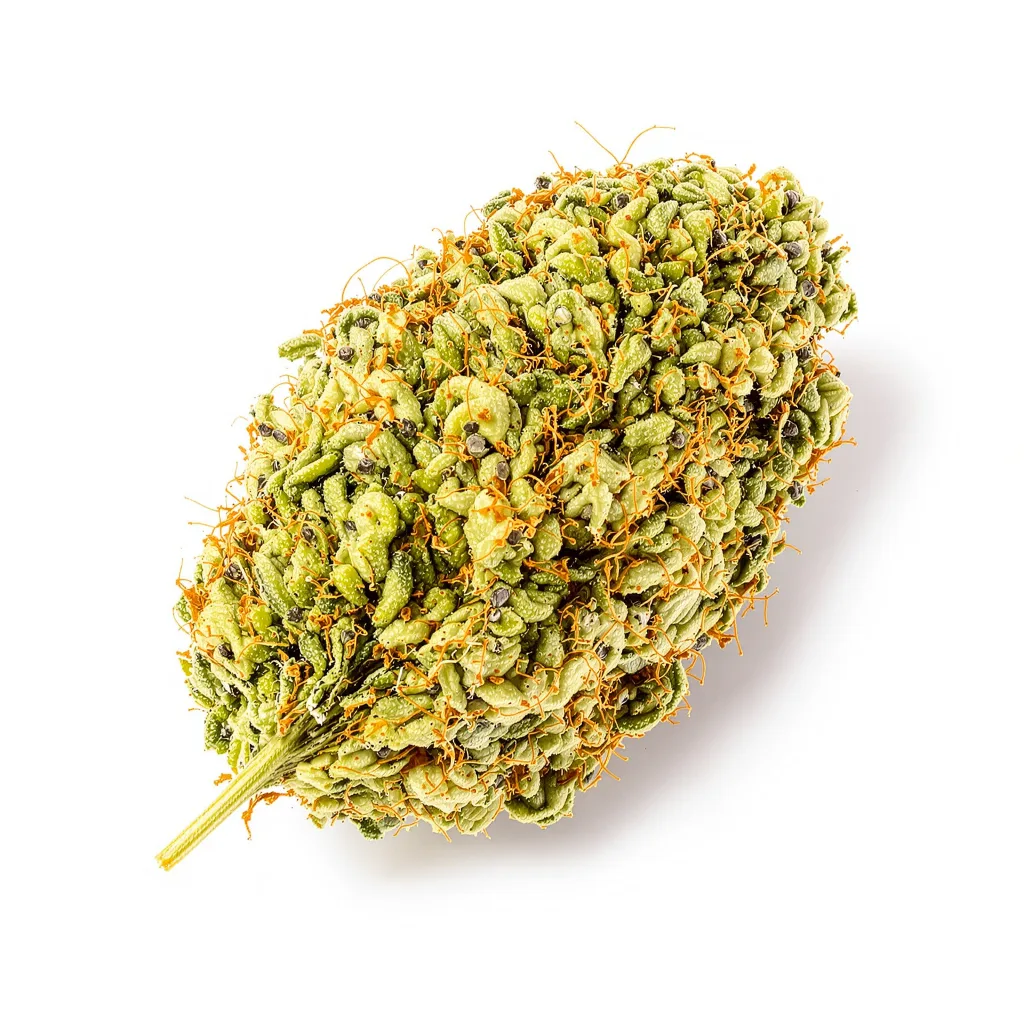 Jesus OG 30% Indica / 70% Sativa — Blüte mit sichtbaren Trichomen