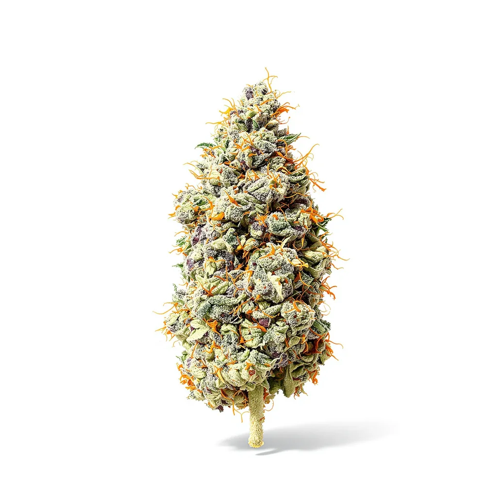 Jillybean 40% Indica / 60% Sativa — Blüte mit sichtbaren Trichomen