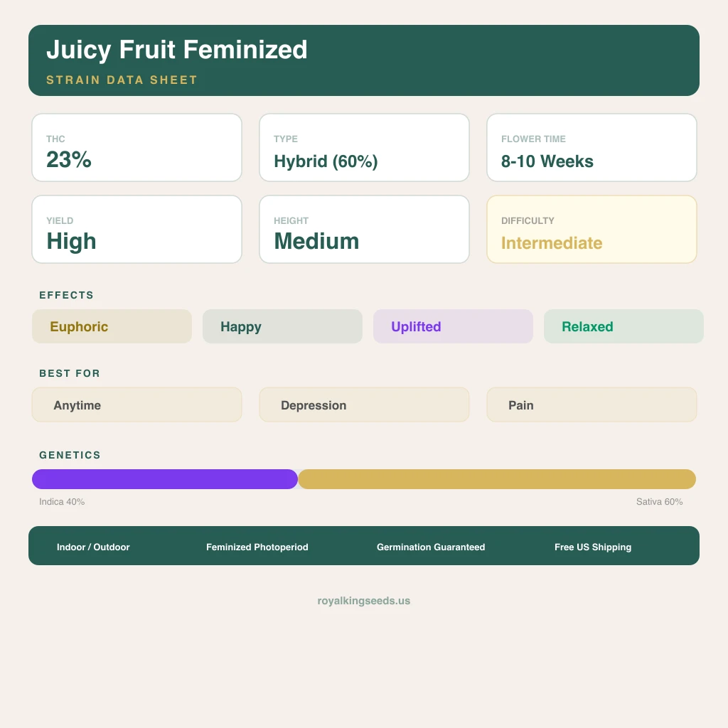 Juicy Fruit 40% Indica / 60% Sativa — Blüte mit sichtbaren Trichomen