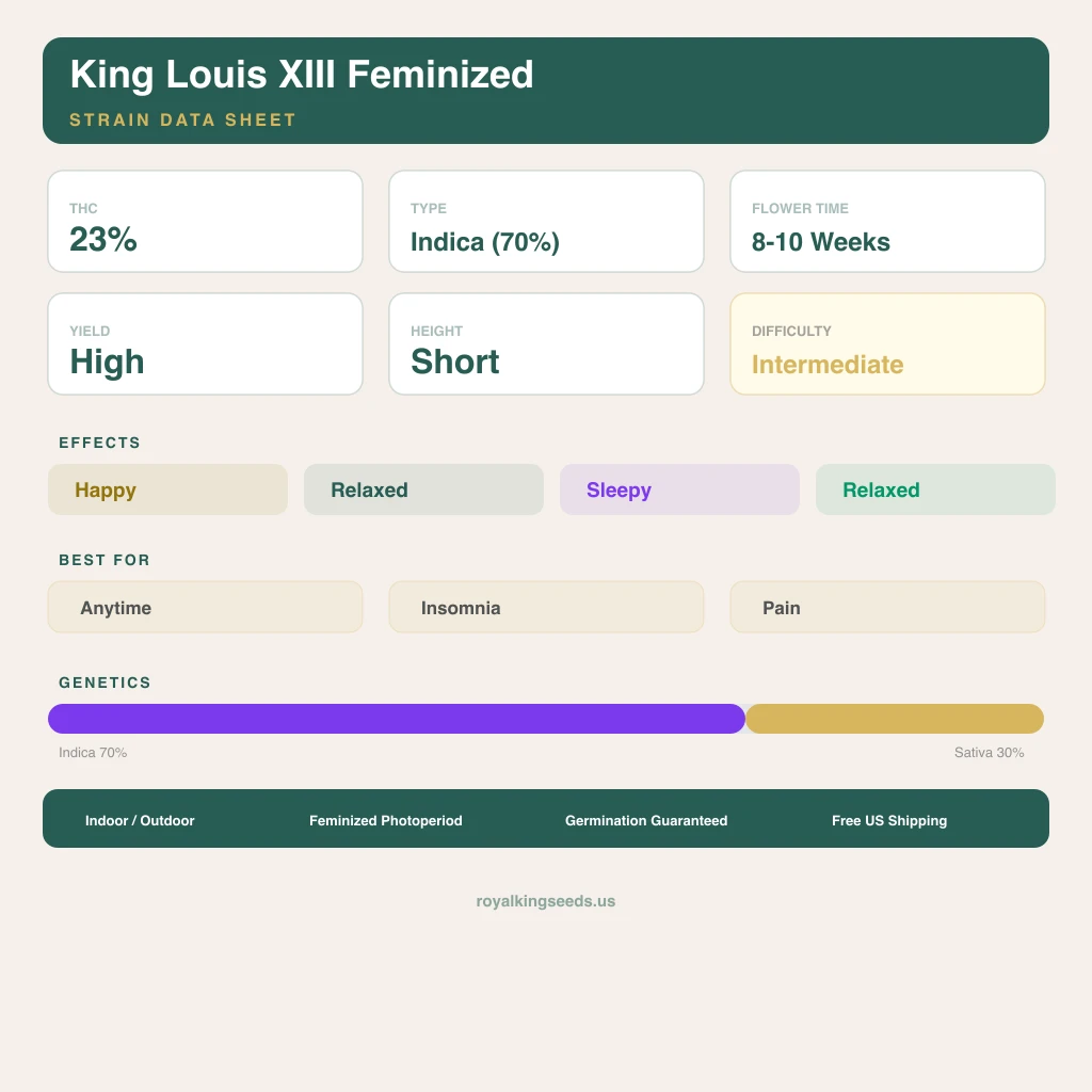 King Louis XIII 70% Indica / 30% Sativa — Blüte mit sichtbaren Trichomen