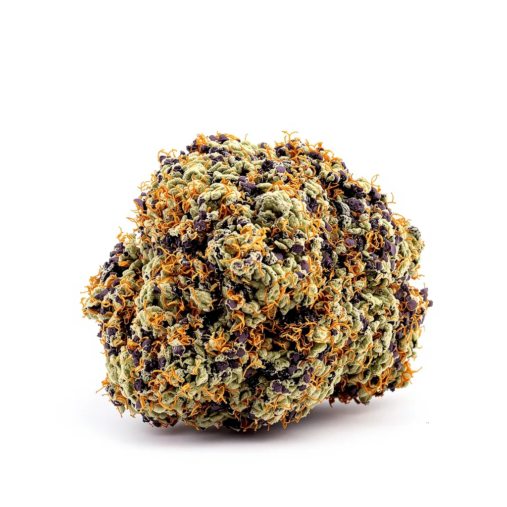 Kiwiskunk 69% Indica / 31% Sativa — Blüte mit sichtbaren Trichomen