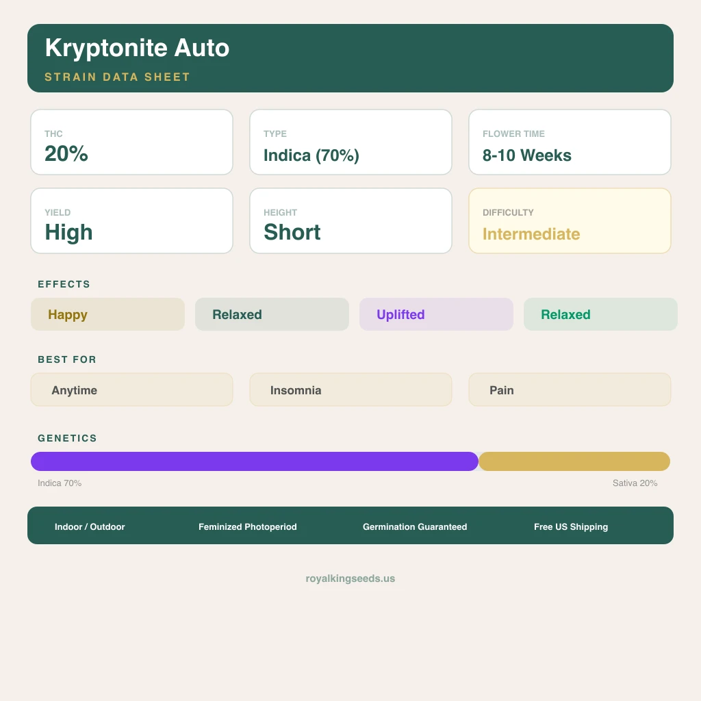 Kryptonite 70% Indica / 20% Sativa — Blüte mit sichtbaren Trichomen