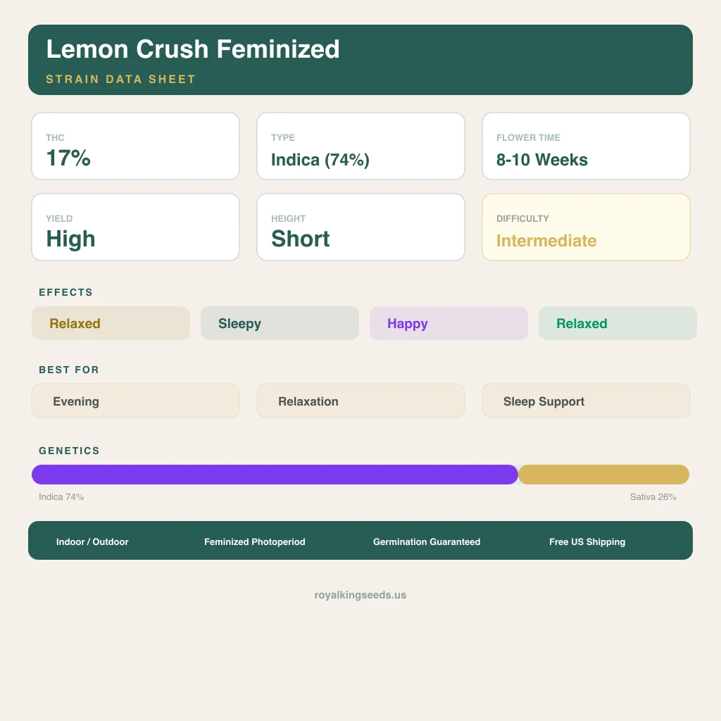 Lemon Crush 74% Indica / 26% Sativa — Blüte mit sichtbaren Trichomen