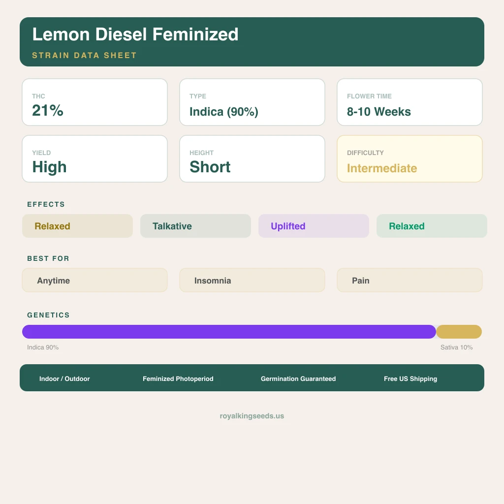 Lemon Diesel 90% Indica / 10% Sativa — Blüte mit sichtbaren Trichomen