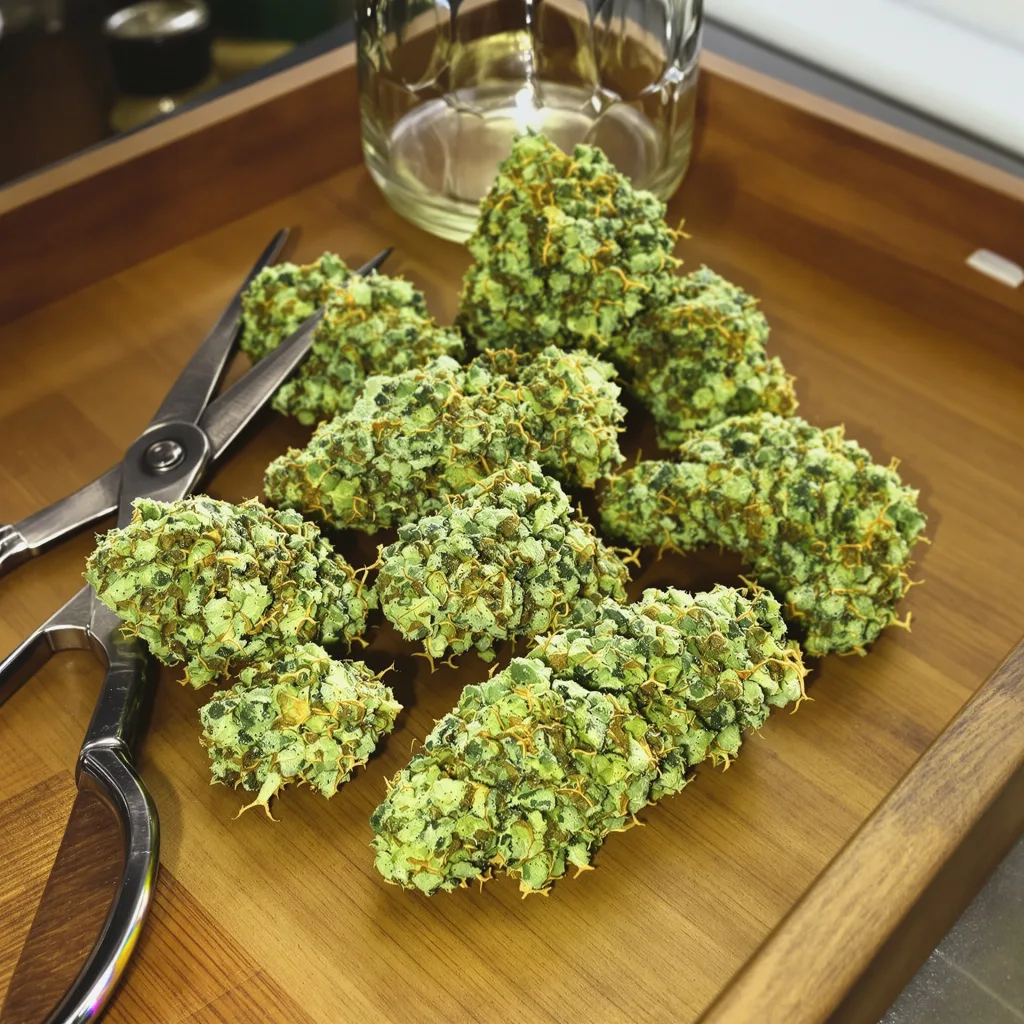 Lemon G 25% Indica / 75% Sativa — Blüte mit sichtbaren Trichomen