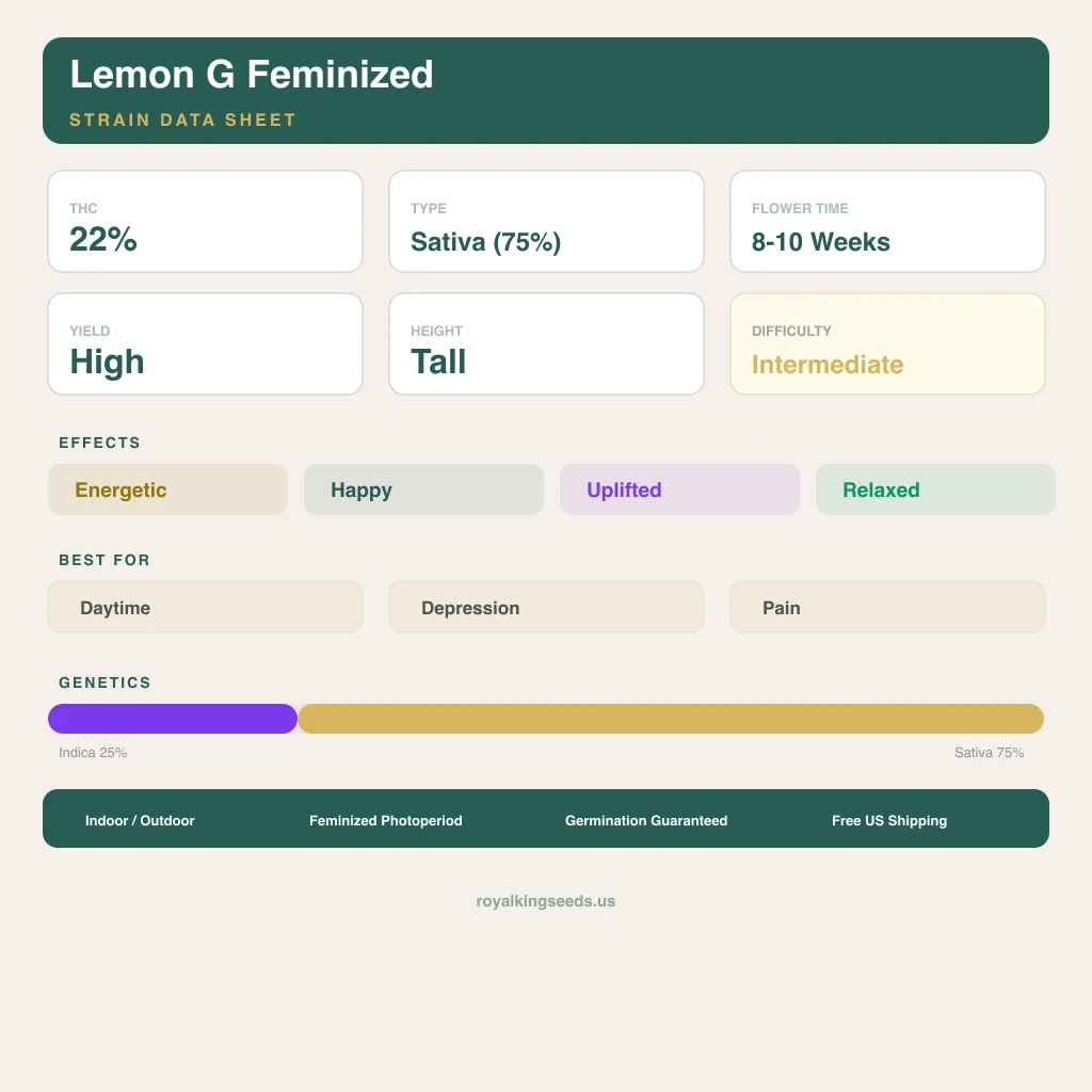 Lemon G 25% Indica / 75% Sativa — Blüte mit sichtbaren Trichomen