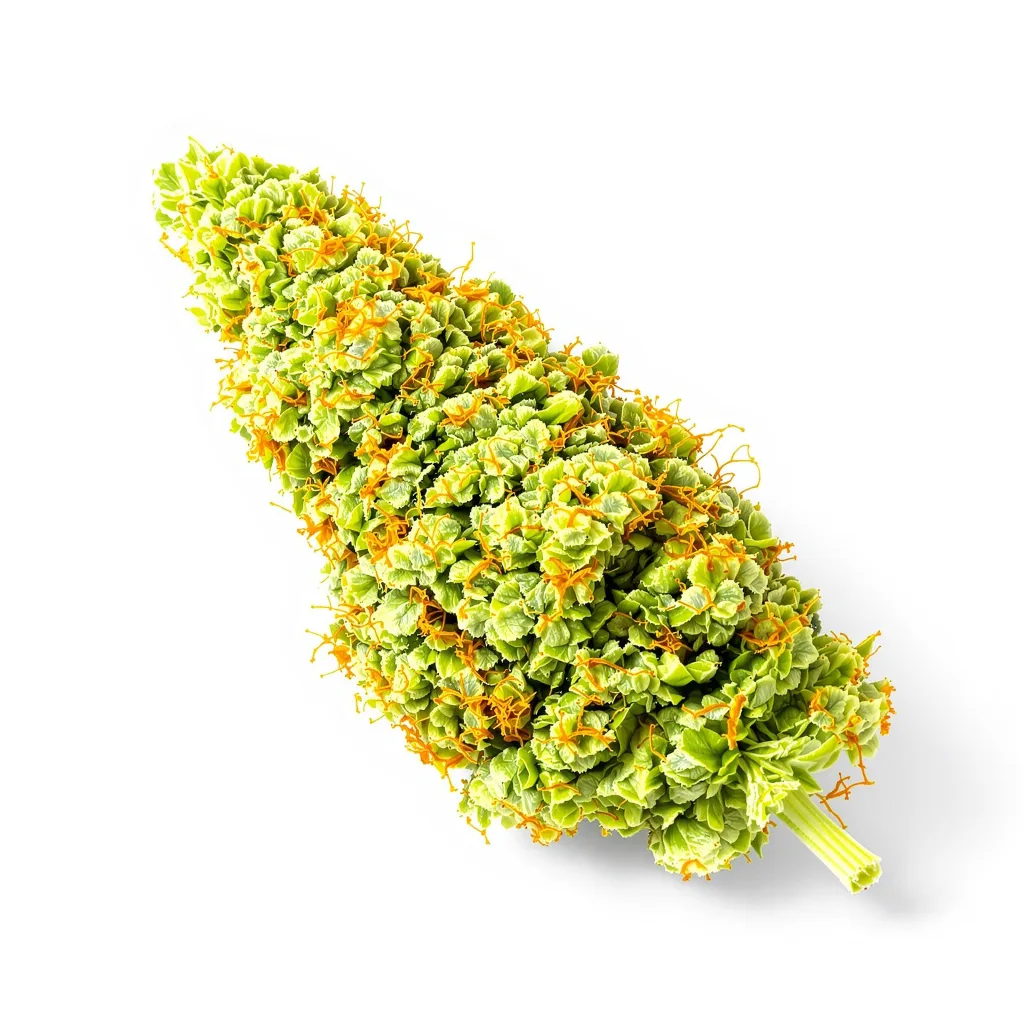 Lemon G 25% Indica / 75% Sativa — Blüte mit sichtbaren Trichomen