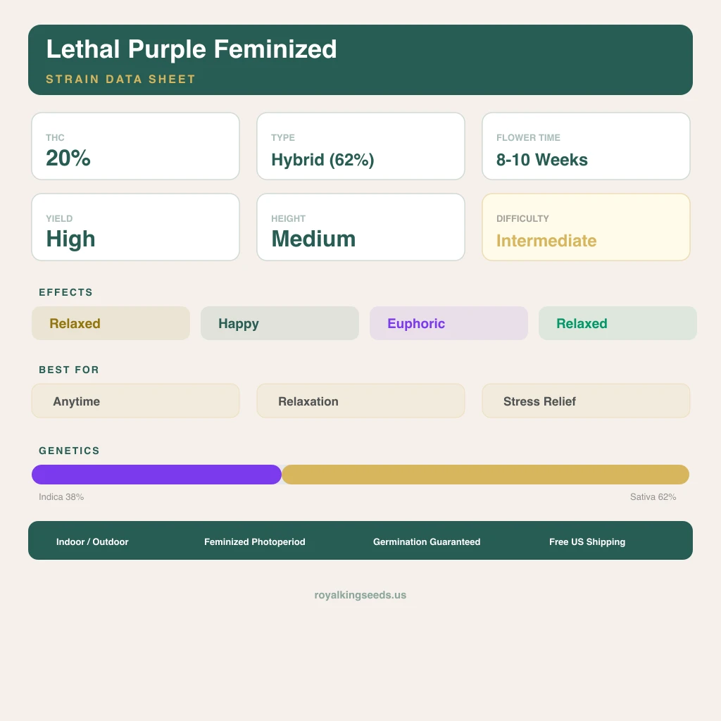 Lethal Purple 38% Indica / 62% Sativa — Blüte mit sichtbaren Trichomen