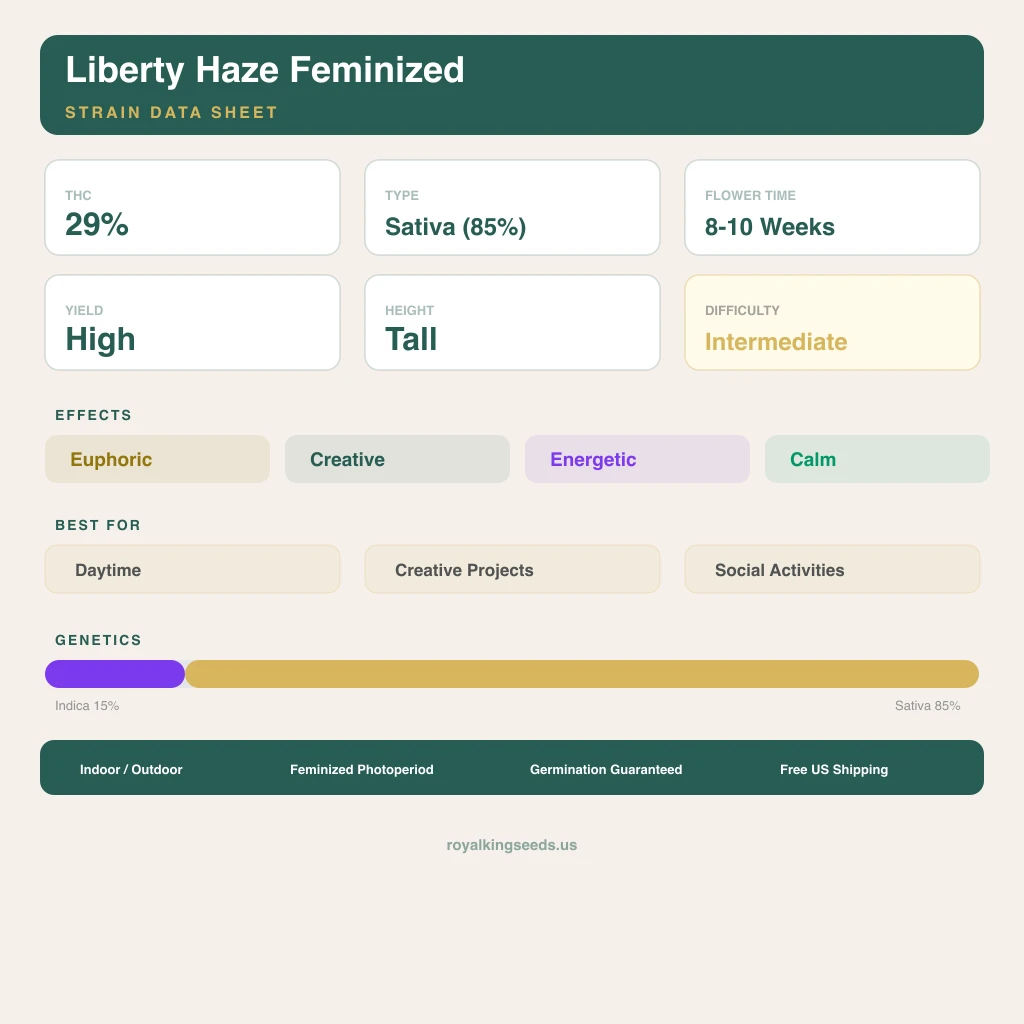 Liberty Haze 15% Indica / 85% Sativa — Blüte mit sichtbaren Trichomen