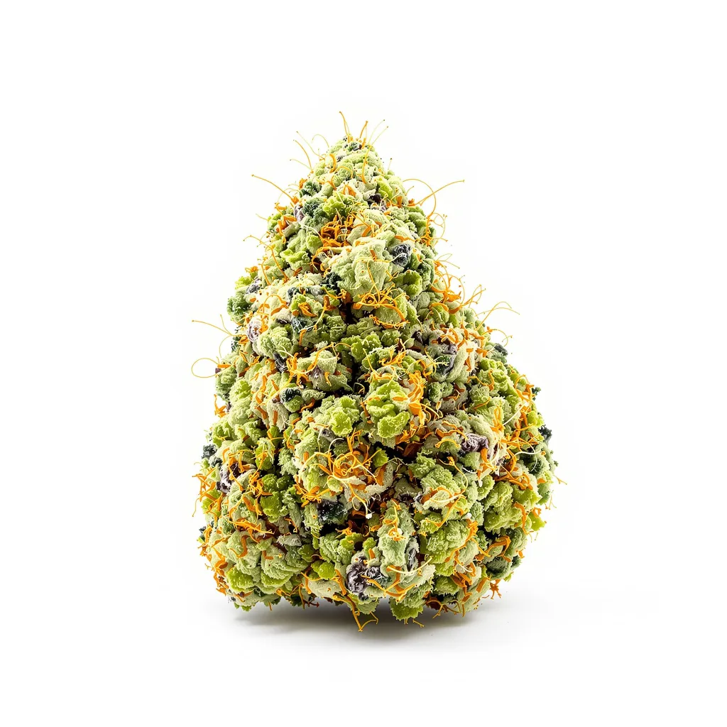 Love Potion #1 30% Indica / 70% Sativa — Blüte mit sichtbaren Trichomen
