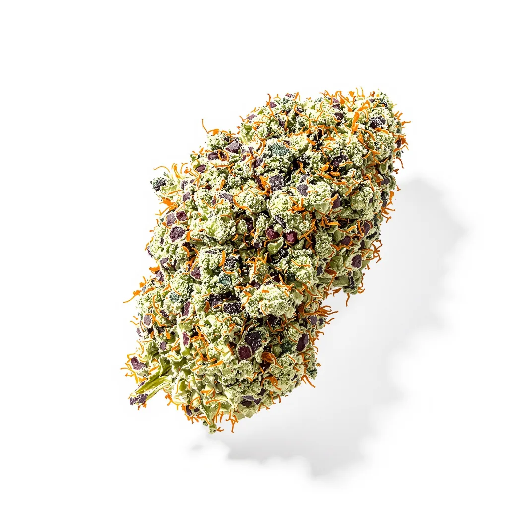 Lowryder 44% Indica / 56% Sativa — Blüte mit sichtbaren Trichomen