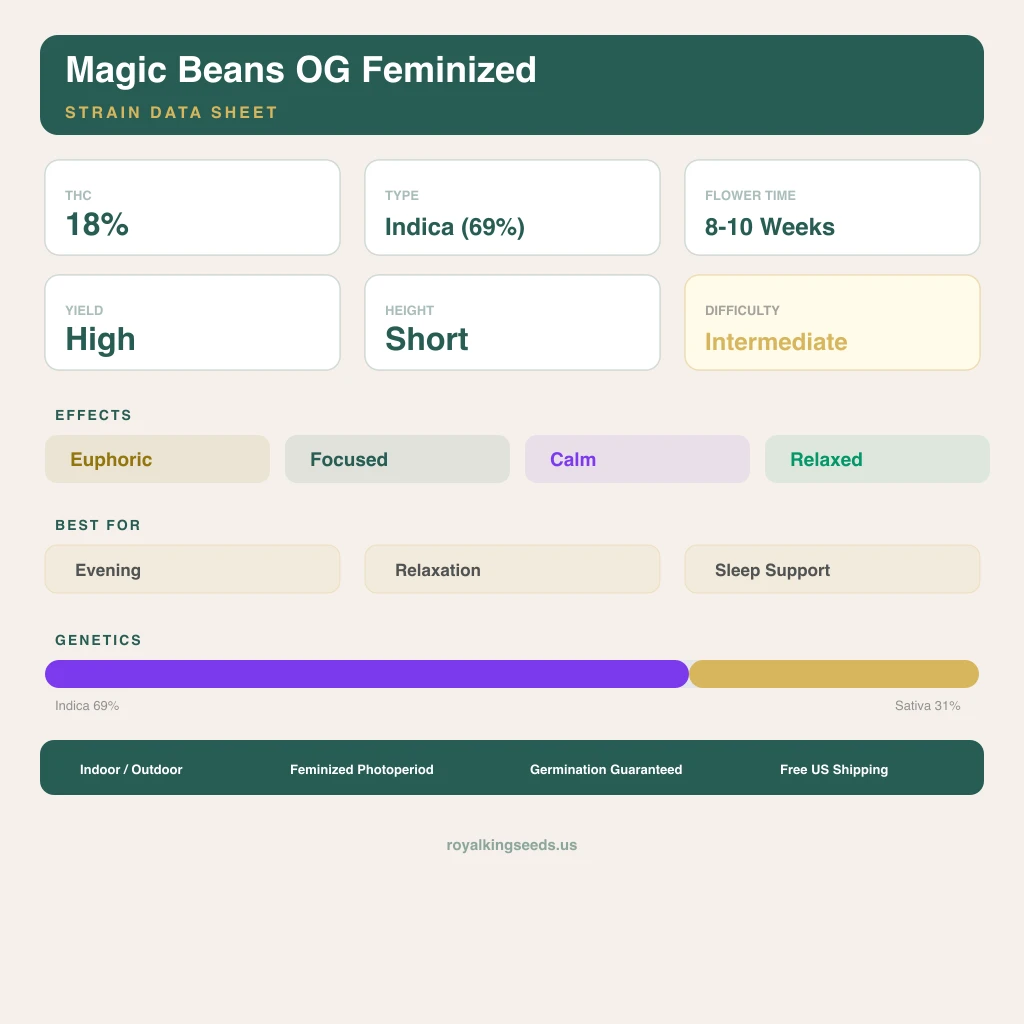 Magic Beans OG 69% Indica / 31% Sativa — Blüte mit sichtbaren Trichomen