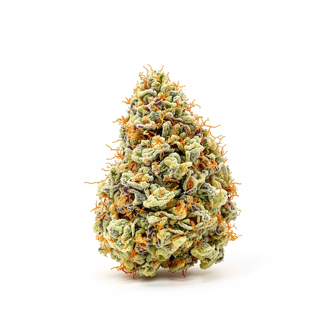 Mango Haze 40% Indica / 60% Sativa — Blüte mit sichtbaren Trichomen