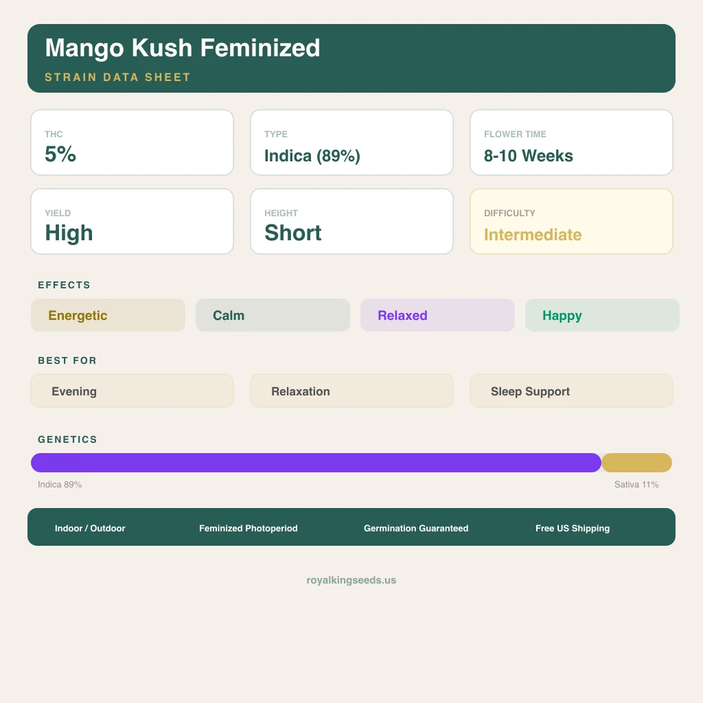 Mango Kush 89% Indica / 11% Sativa — Blüte mit sichtbaren Trichomen
