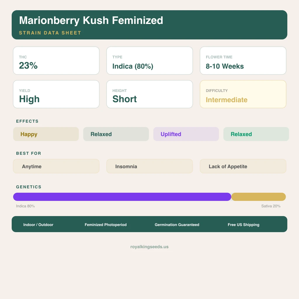 Marionberry Kush 80% Indica / 20% Sativa — Blüte mit sichtbaren Trichomen