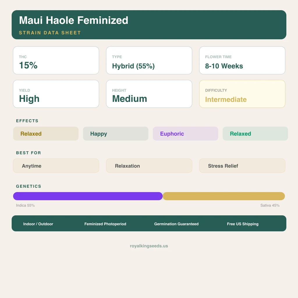 Maui Haole 55% Indica / 45% Sativa — Blüte mit sichtbaren Trichomen