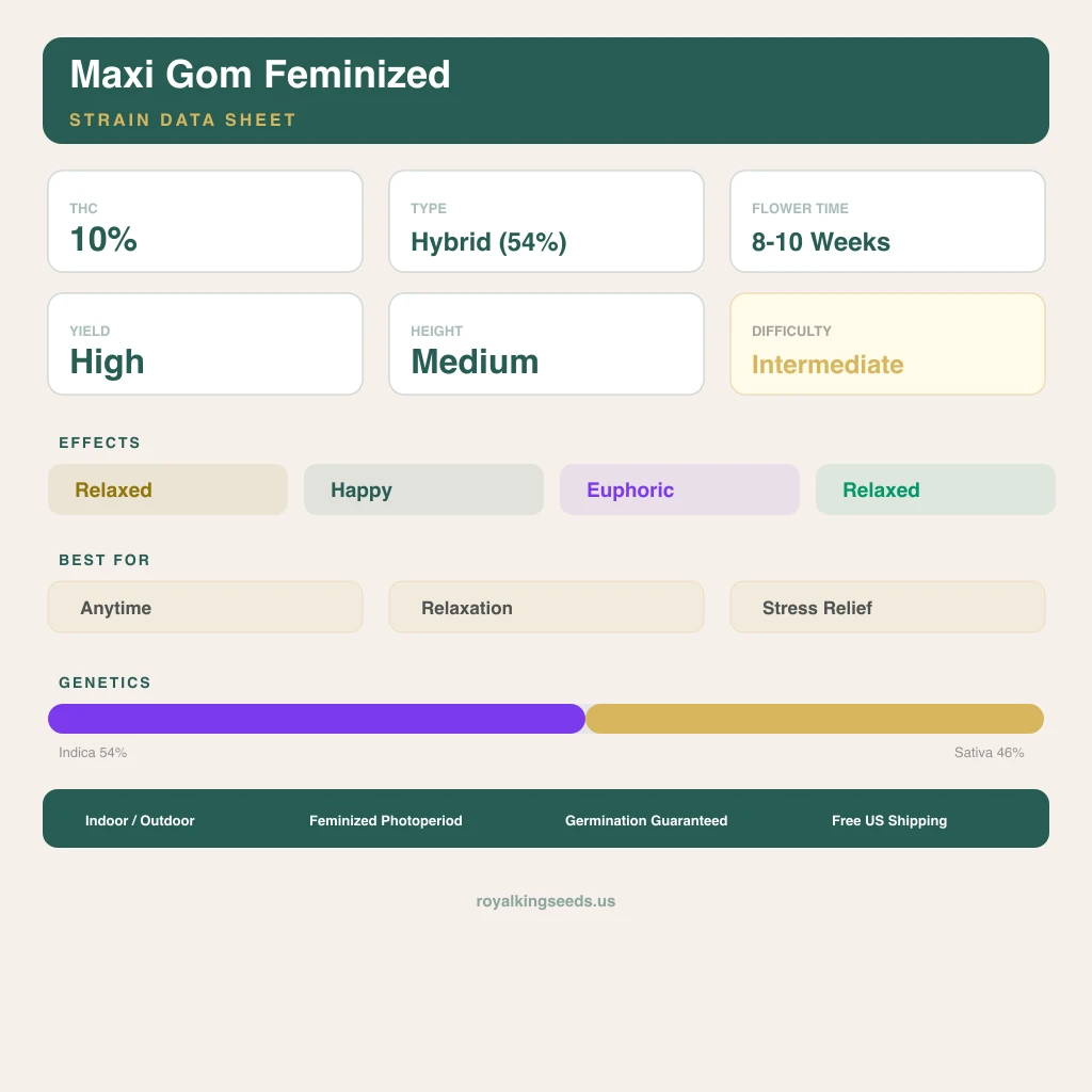 Maxi Gom 54% Indica / 46% Sativa — Blüte mit sichtbaren Trichomen