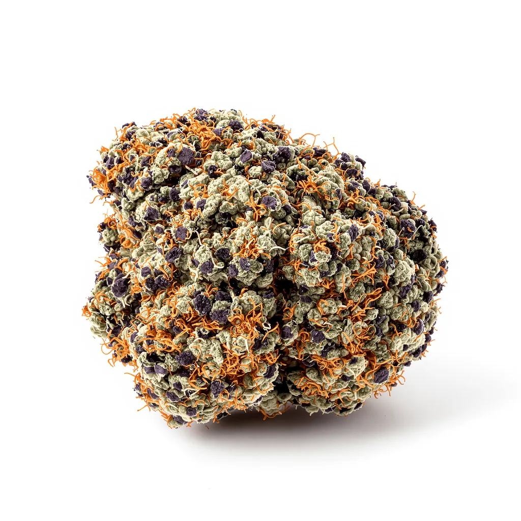 Mazar 73% Indica / 27% Sativa — Blüte mit sichtbaren Trichomen