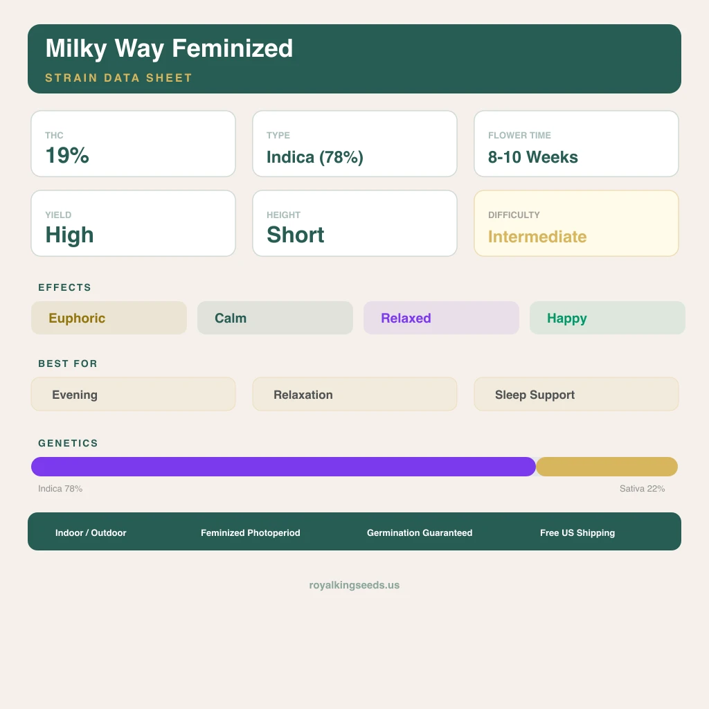 Milky Way 78% Indica / 22% Sativa — Blüte mit sichtbaren Trichomen