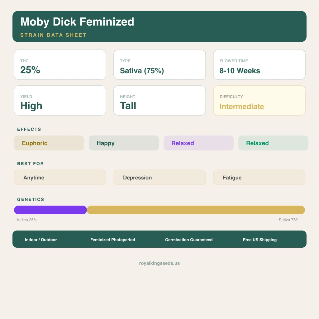 Moby Dick 25% Indica / 75% Sativa — Blüte mit sichtbaren Trichomen
