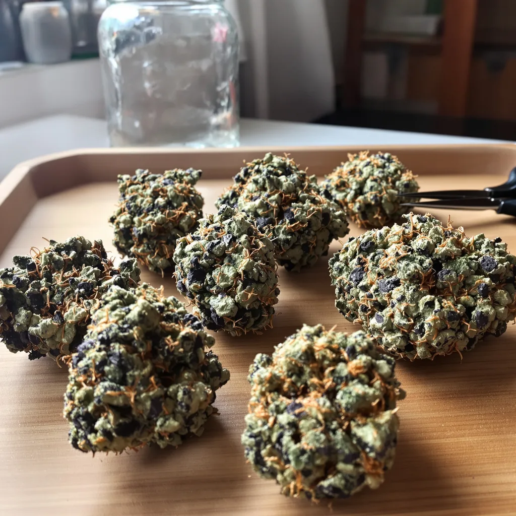 New Glue 80% Indica / 20% Sativa — Blüte mit sichtbaren Trichomen