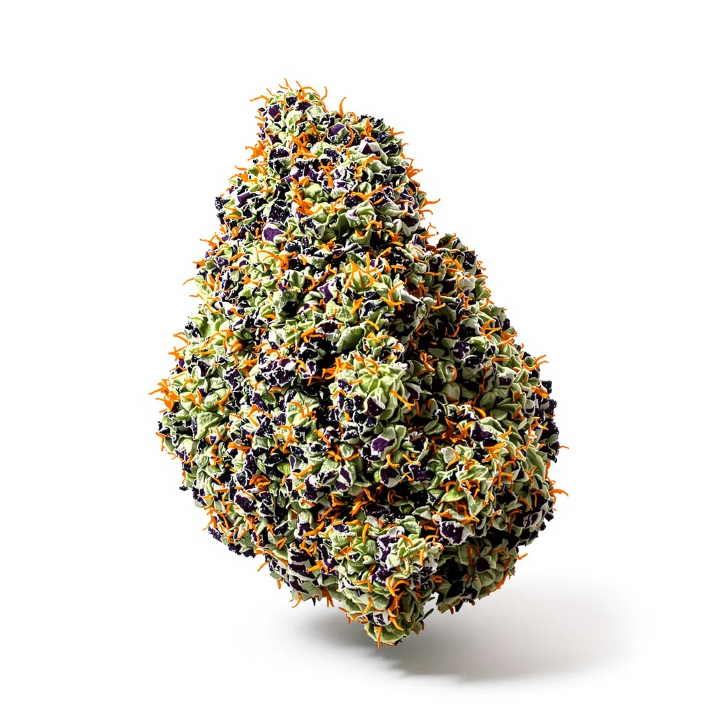 New Glue 80% Indica / 20% Sativa — Blüte mit sichtbaren Trichomen