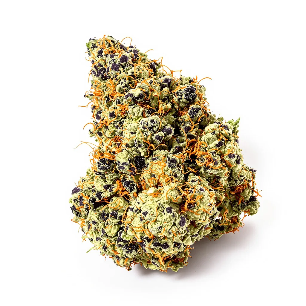 Night Terror OG 75% Indica / 25% Sativa — Blüte mit sichtbaren Trichomen
